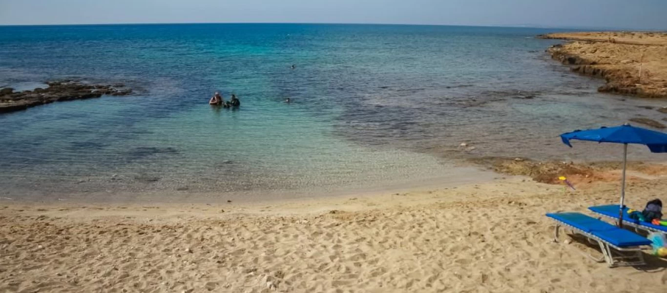 Αφωνοι οι λουόμενοι: Φίδια ζευγαρώνουν δίπλα σε ξαπλώστρες (βίντεο)